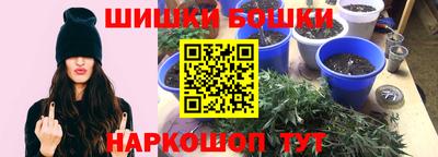 apvp Нальчик