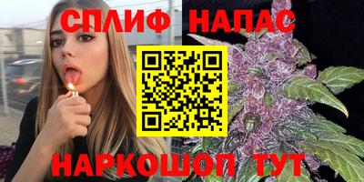apvp Нальчик