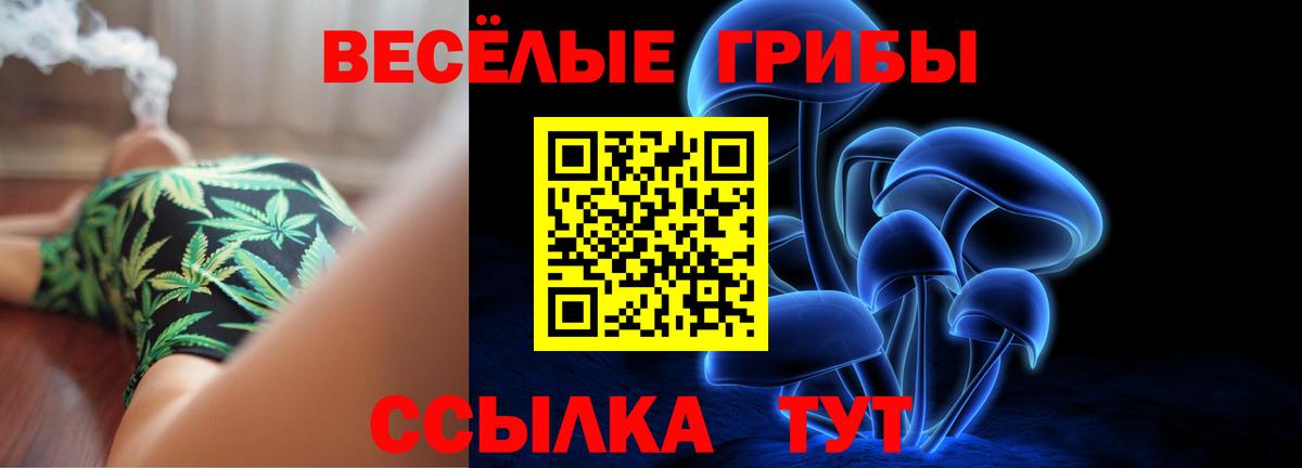 Галлюциногенные грибы ЛСД  где найти наркотики  Саянск  Вход с VPN  Галлюциногенные грибы Magic Shrooms 